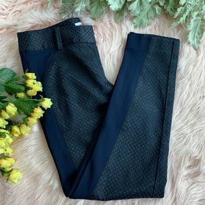 Cachè | Navy Jacquard Pants